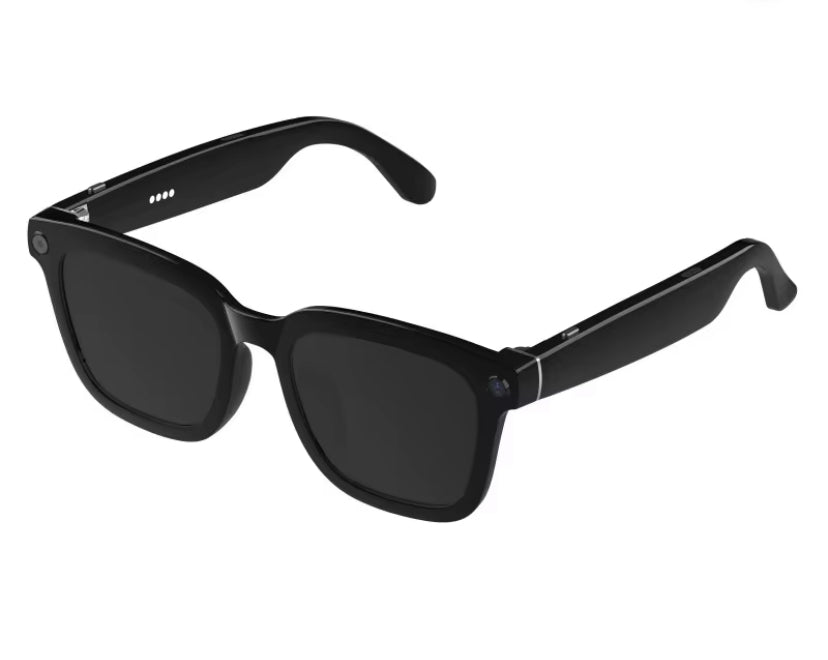 Husky Vision Meta AI Glasses