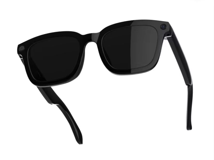 Husky Vision Meta AI Glasses